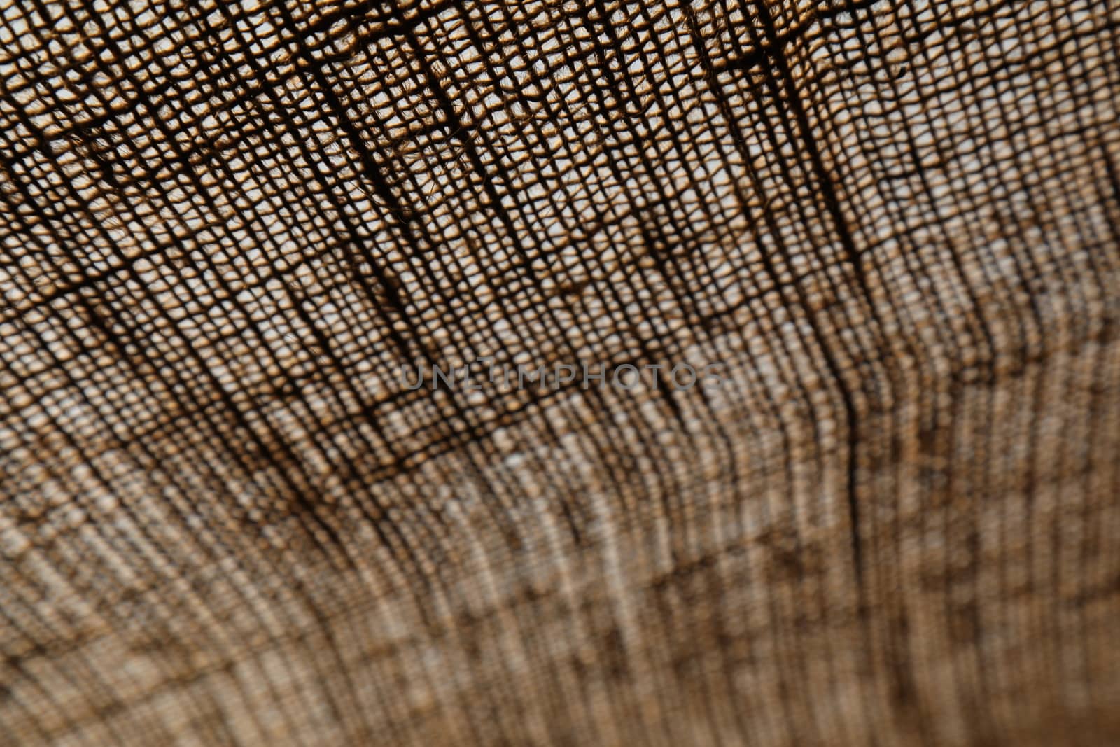 Abstract Cloth Texture