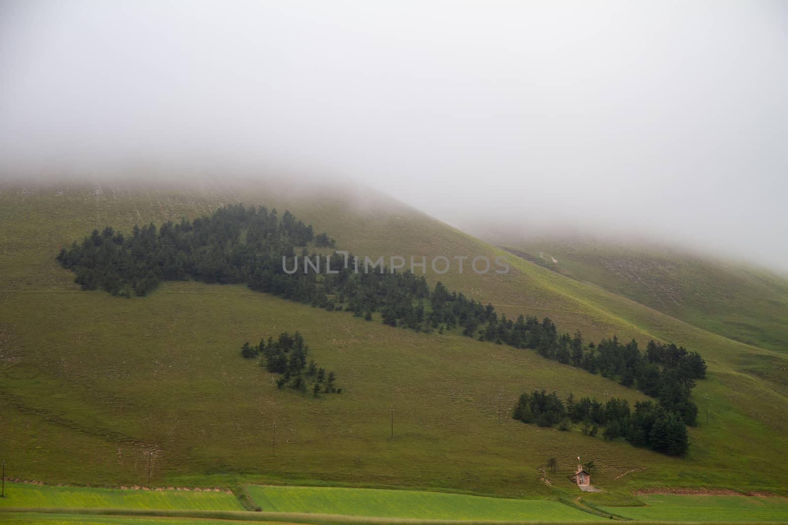 CASTELLUCCIO DI NORCIA AND ITS FLOWERING by carfedeph