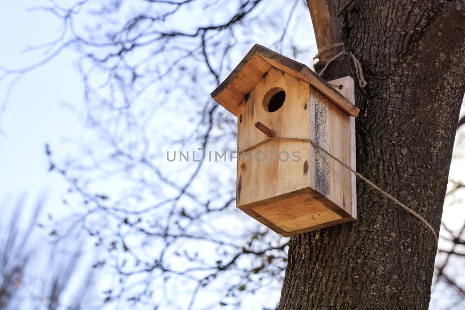 A wooden new birdhouse is attached to a tree with a rope in a park against a blue sky, close-up view.