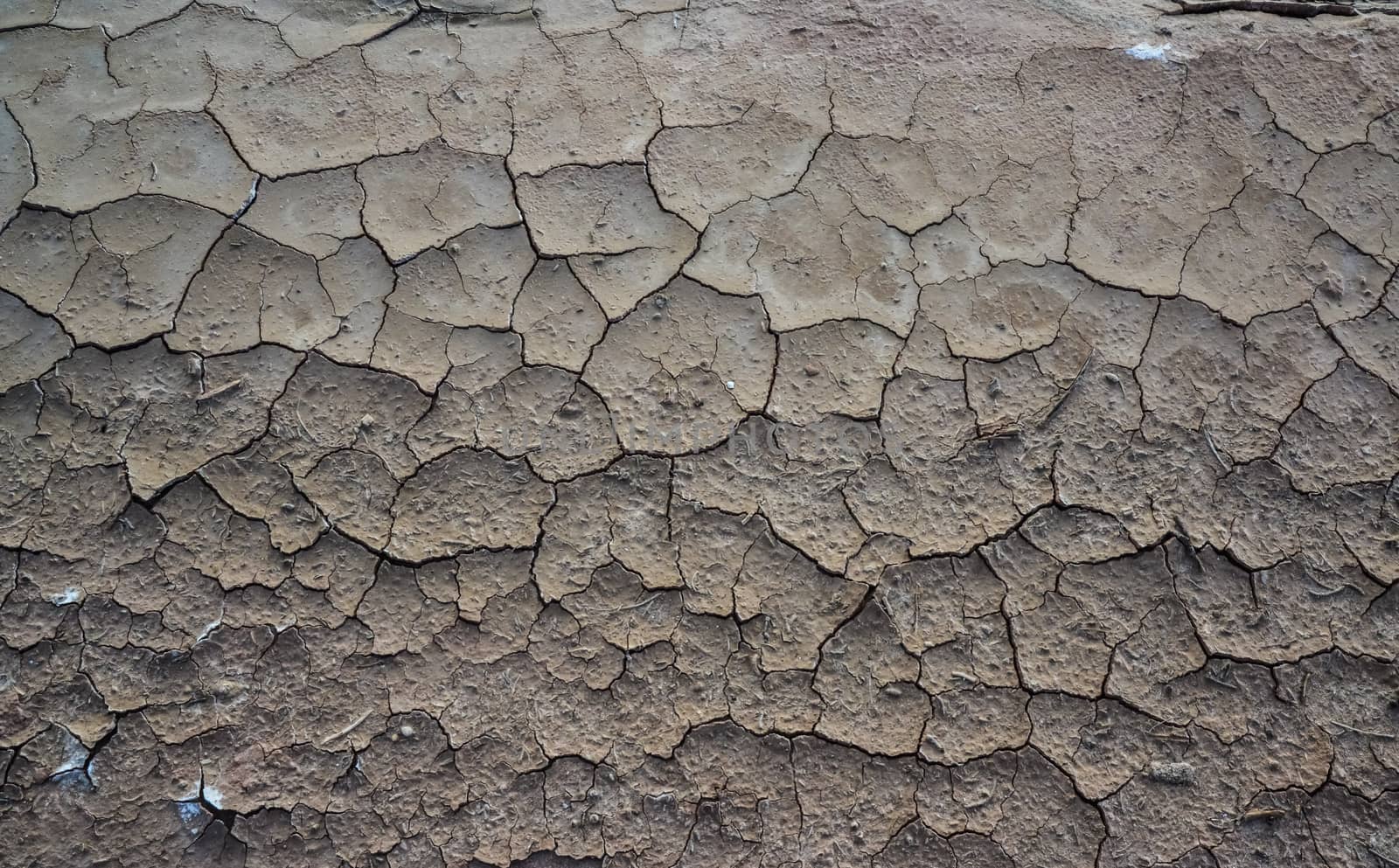 Cracked red clay and white salt on the surface in a dried riverbed in the desert of New Mexico, USA