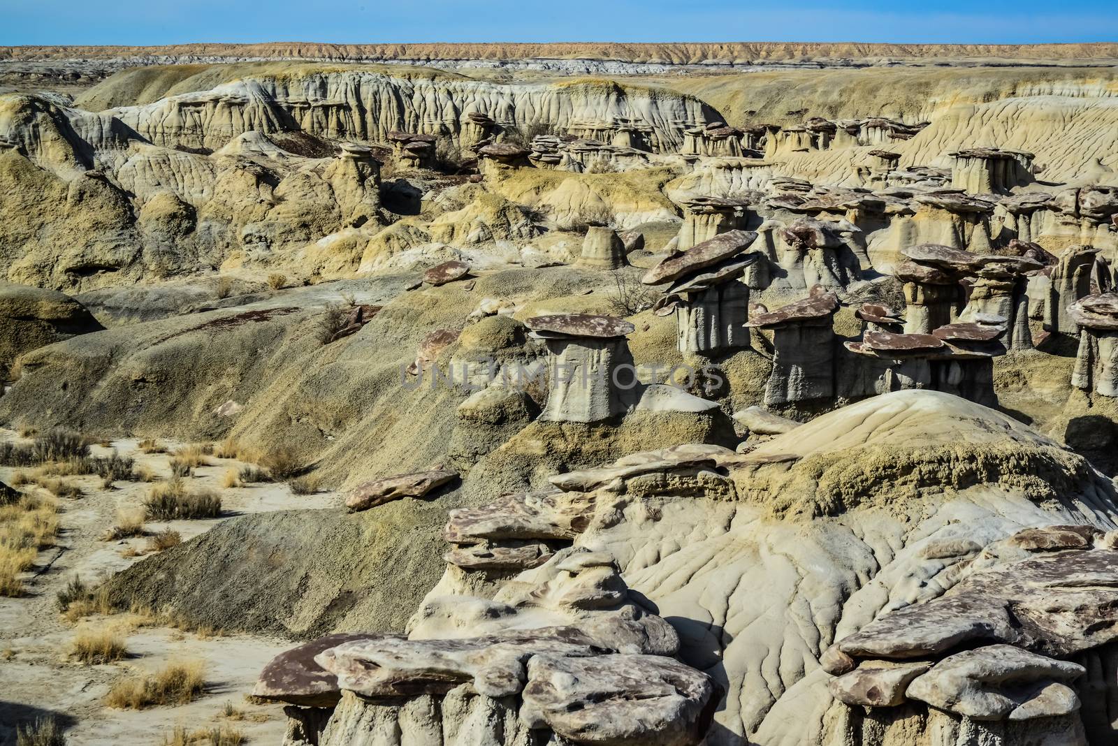 Weird sandstone formations created by erosion at Ah-Shi-Sle-Pah Wilderness Study Area in San Juan County near the city of Farmington, New Mexico. 