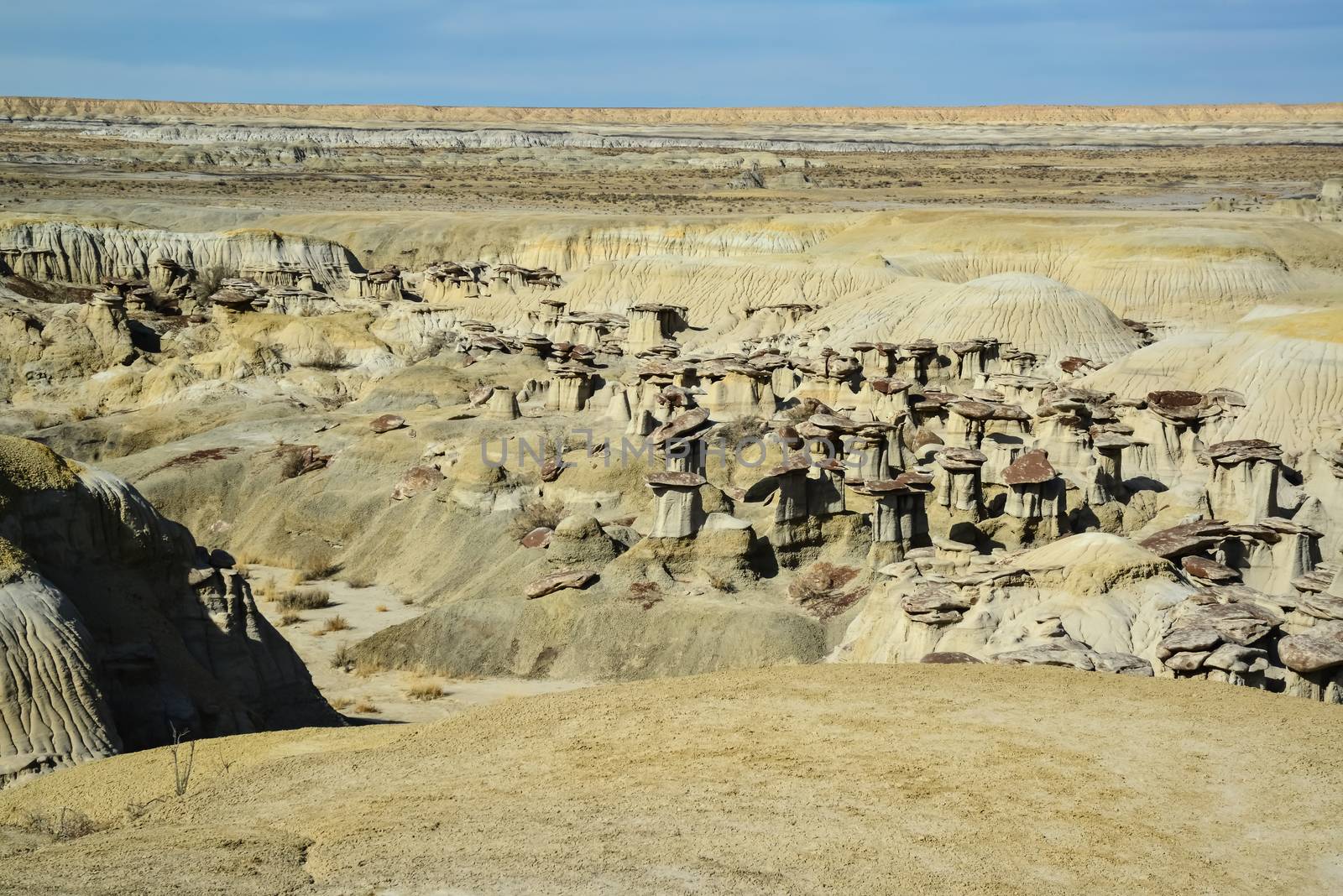 Weird sandstone formations created by erosion at Ah-Shi-Sle-Pah Wilderness Study Area in San Juan County near the city of Farmington, New Mexico. 