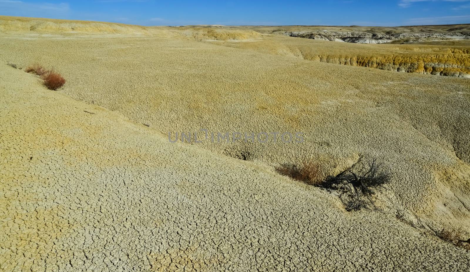 Weird sandstone formations created by erosion at Ah-Shi-Sle-Pah Wilderness Study Area in San Juan County near the city of Farmington, New Mexico. 