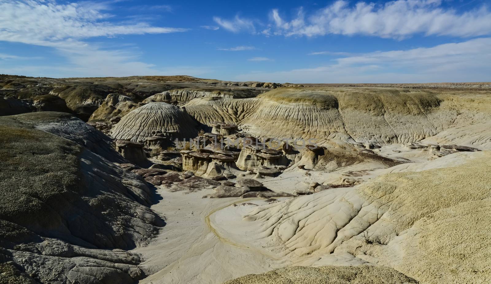 Weird sandstone formations created by erosion at Ah-Shi-Sle-Pah Wilderness Study Area in San Juan County near the city of Farmington, New Mexico. 