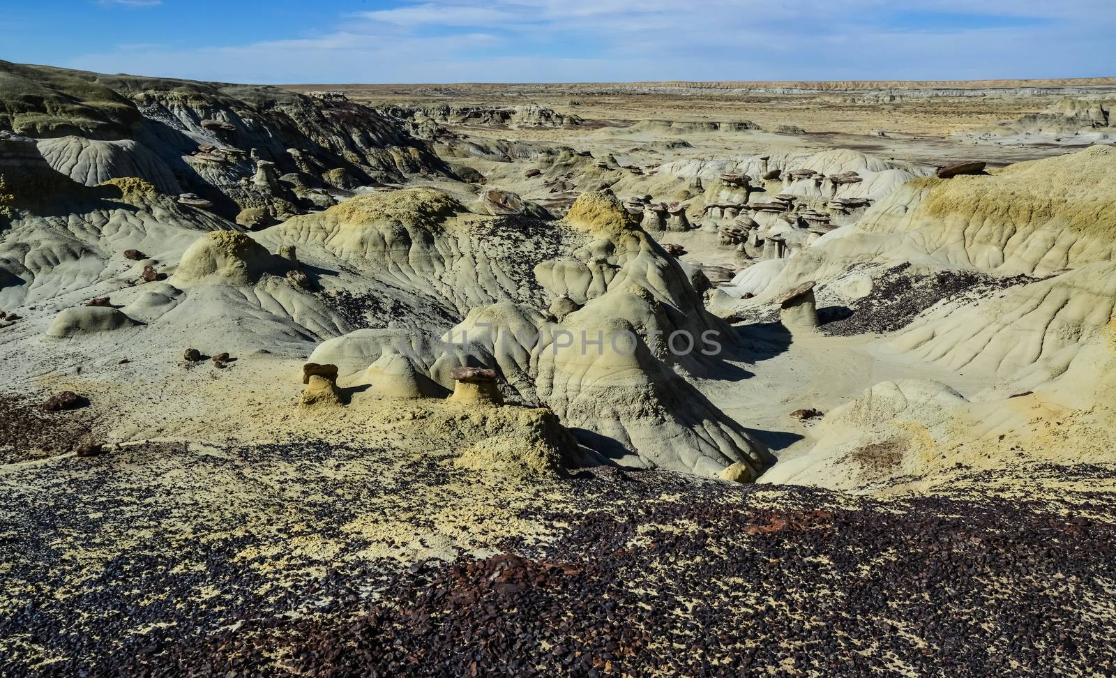 Weird sandstone formations created by erosion at Ah-Shi-Sle-Pah Wilderness Study Area in San Juan County near the city of Farmington, New Mexico. 