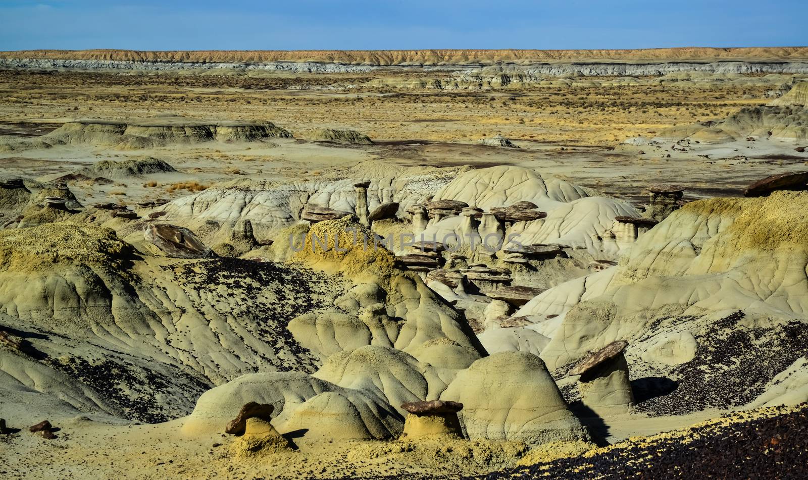 Weird sandstone formations created by erosion at Ah-Shi-Sle-Pah Wilderness Study Area in San Juan County near the city of Farmington, New Mexico. 