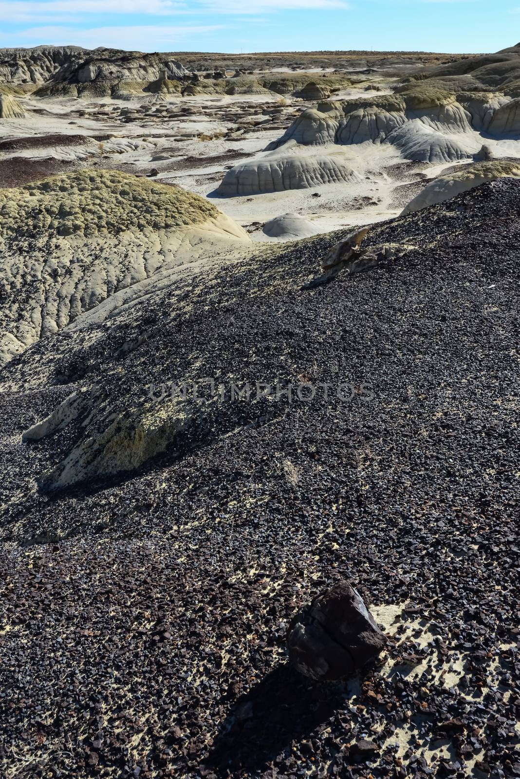 Weird sandstone formations created by erosion at Ah-Shi-Sle-Pah Wilderness Study Area in San Juan County near the city of Farmington, New Mexico. 