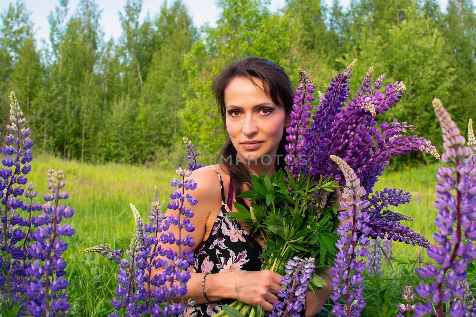 A beautiful woman with a large flower bouquet rests on a blooming field of lupins on a Sunny summer day