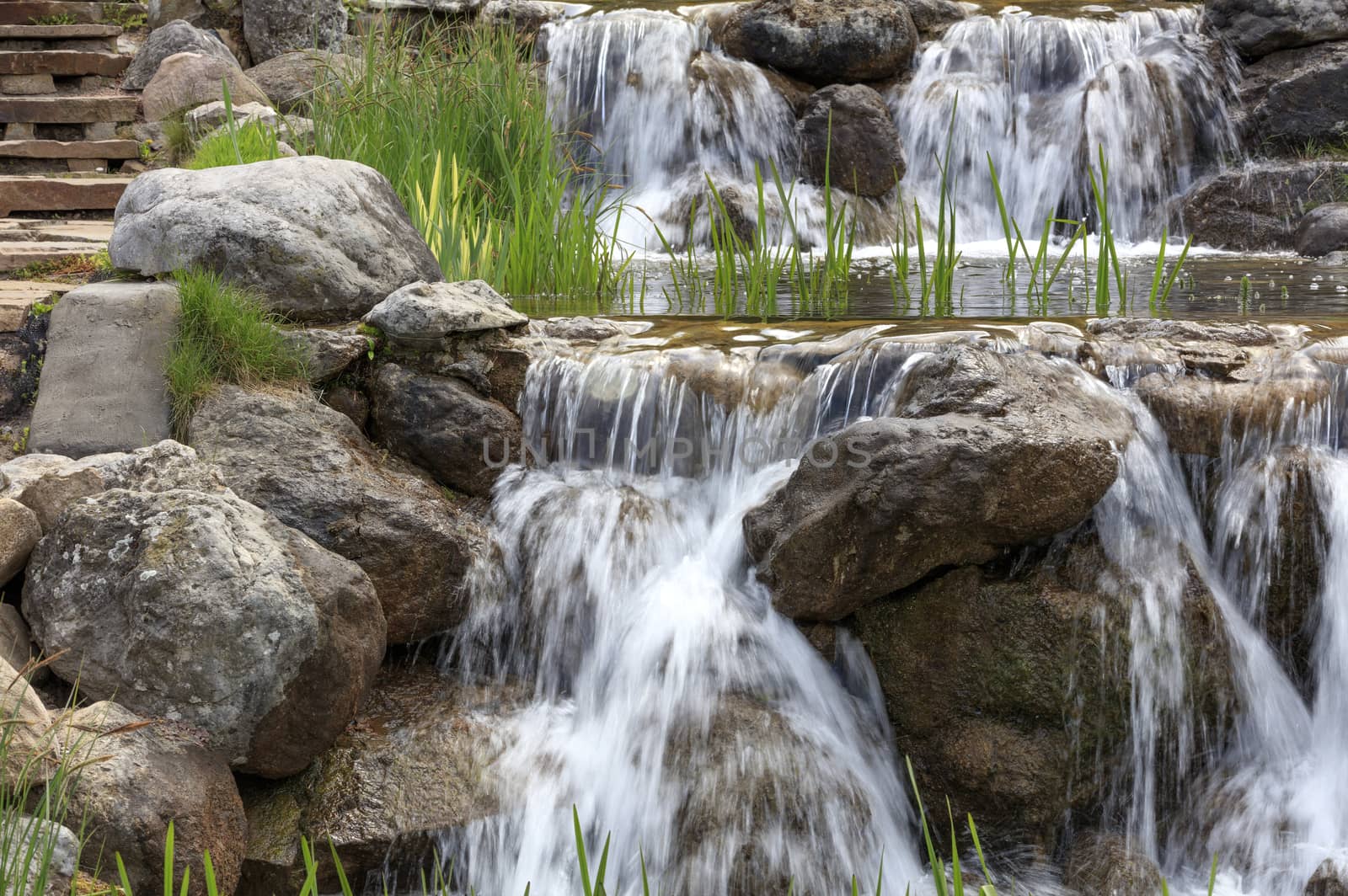Through a cascade of boulders flowing clear cold water of a mountain river, young shoots of reeds grow along the edges of stone boulders.