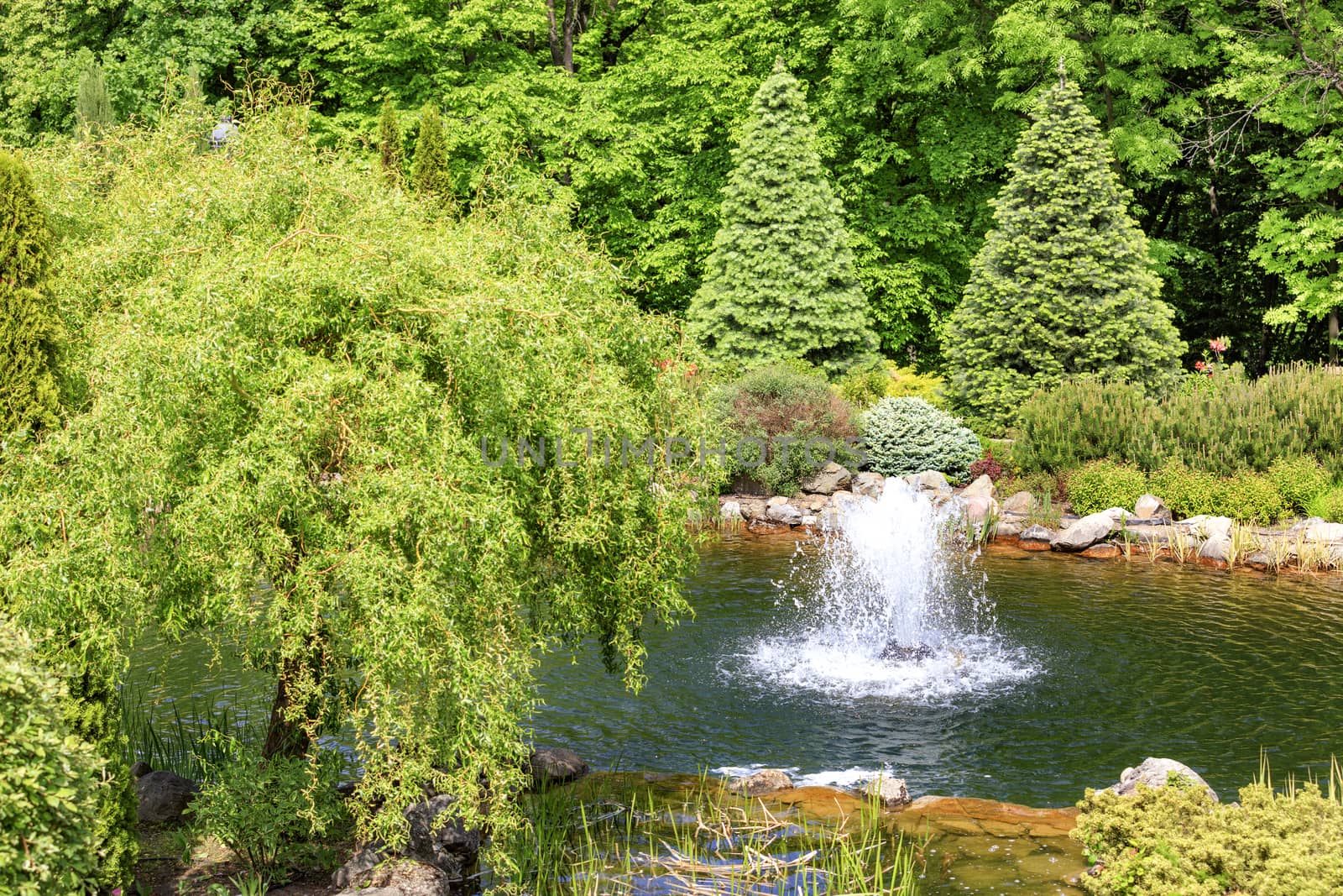 A small fountain in a decorative pond, surrounded by trees and bushes in a beautiful park, refreshes the air in hot summer in the rays of soft sunlight.