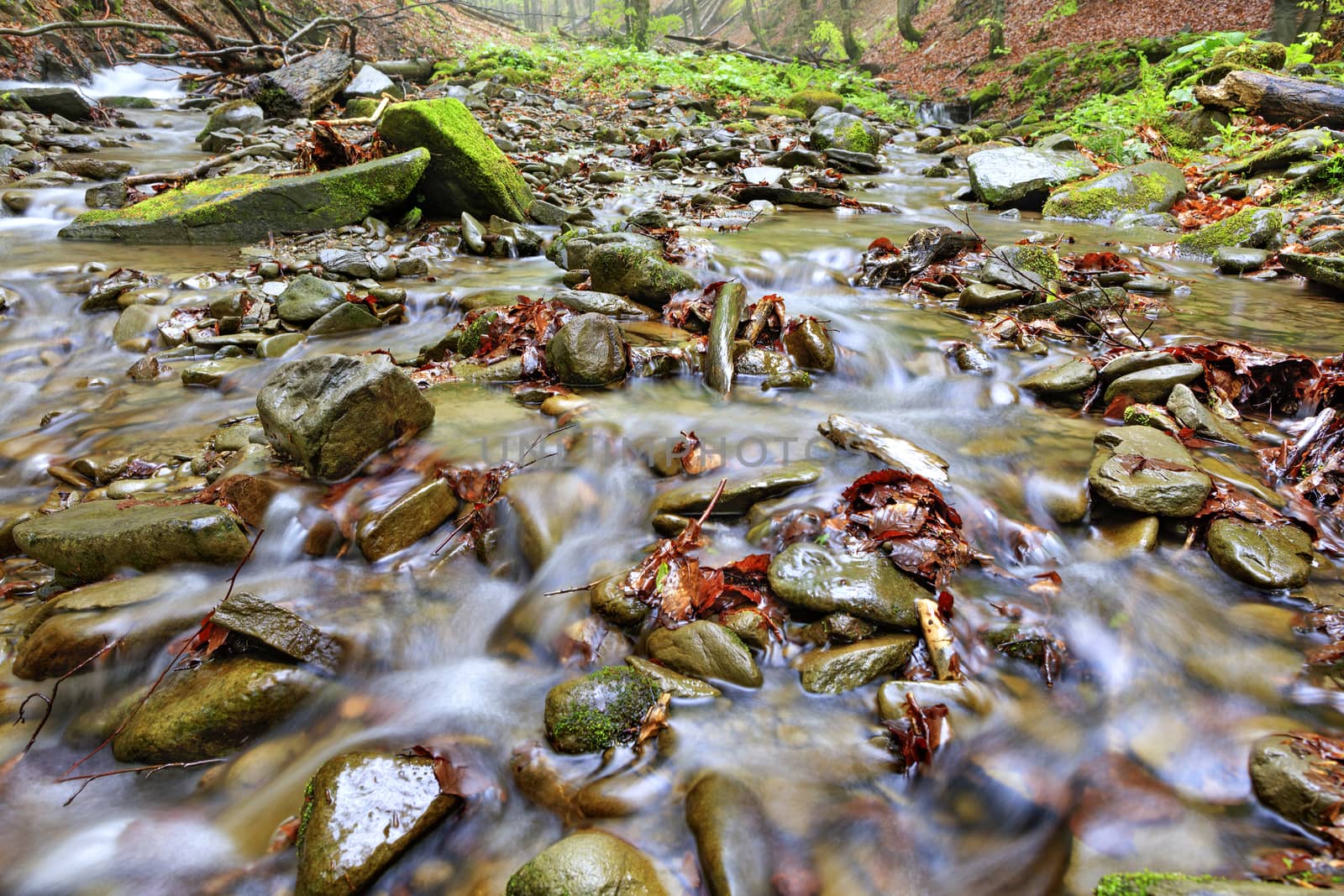 Fresh and clear waters of a forest stream run on stone pebbles and fallen leaves in the autumn forest. Low angle, foreground in light blur.