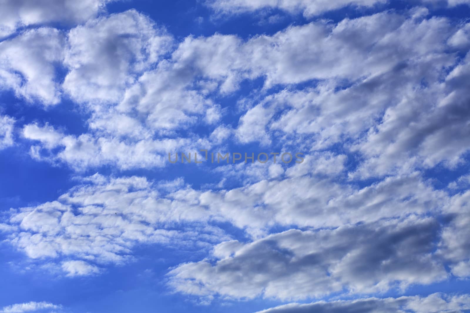 Blue sky with white and gray condensing fluffy clouds.