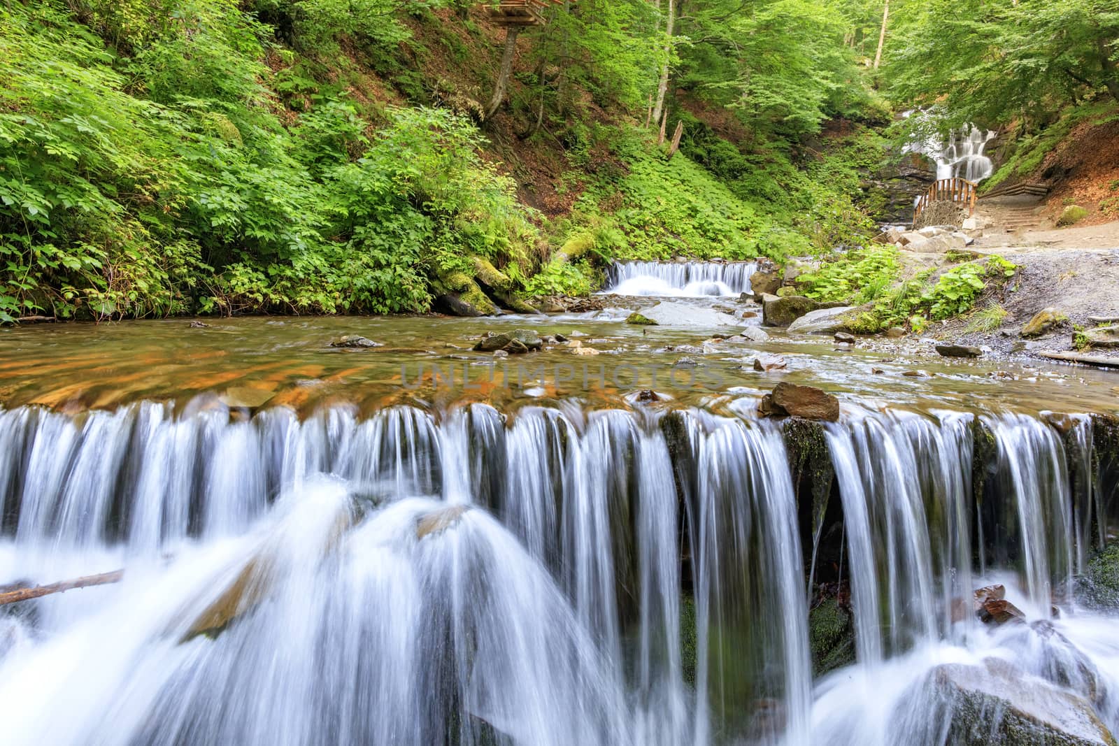 Daytime soft light in the forest illuminates the clear water of a mountain river in a cascade waterfall in the Carpathians against the background of bright green foliage.