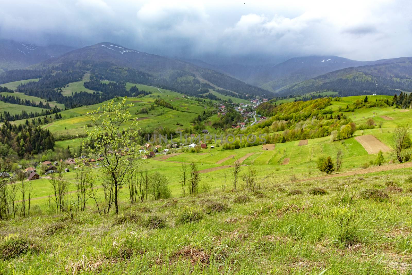 Mole heaps overgrown with green grass on the top of a hill against the backdrop of the picturesque landscape of the Carpathian Mountains in the fog and villages in the valley.