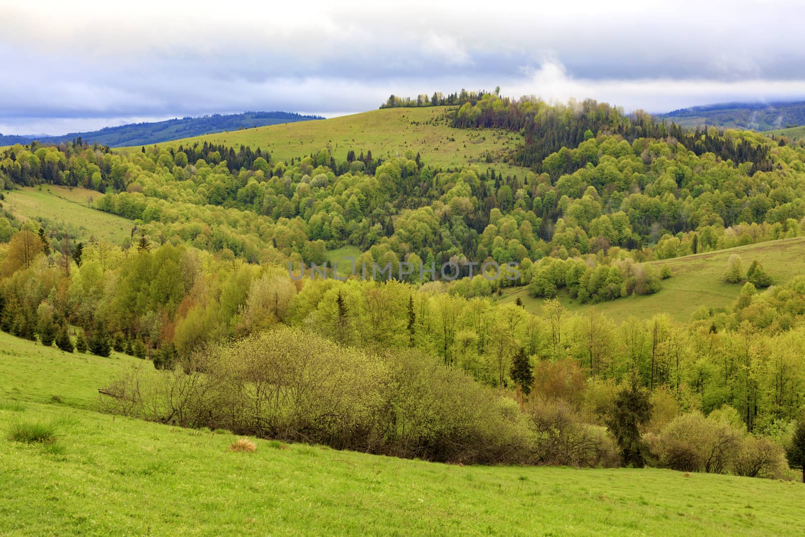 Beautiful view of the spring Carpathians from a height. The valley is overgrown with young deciduous trees.