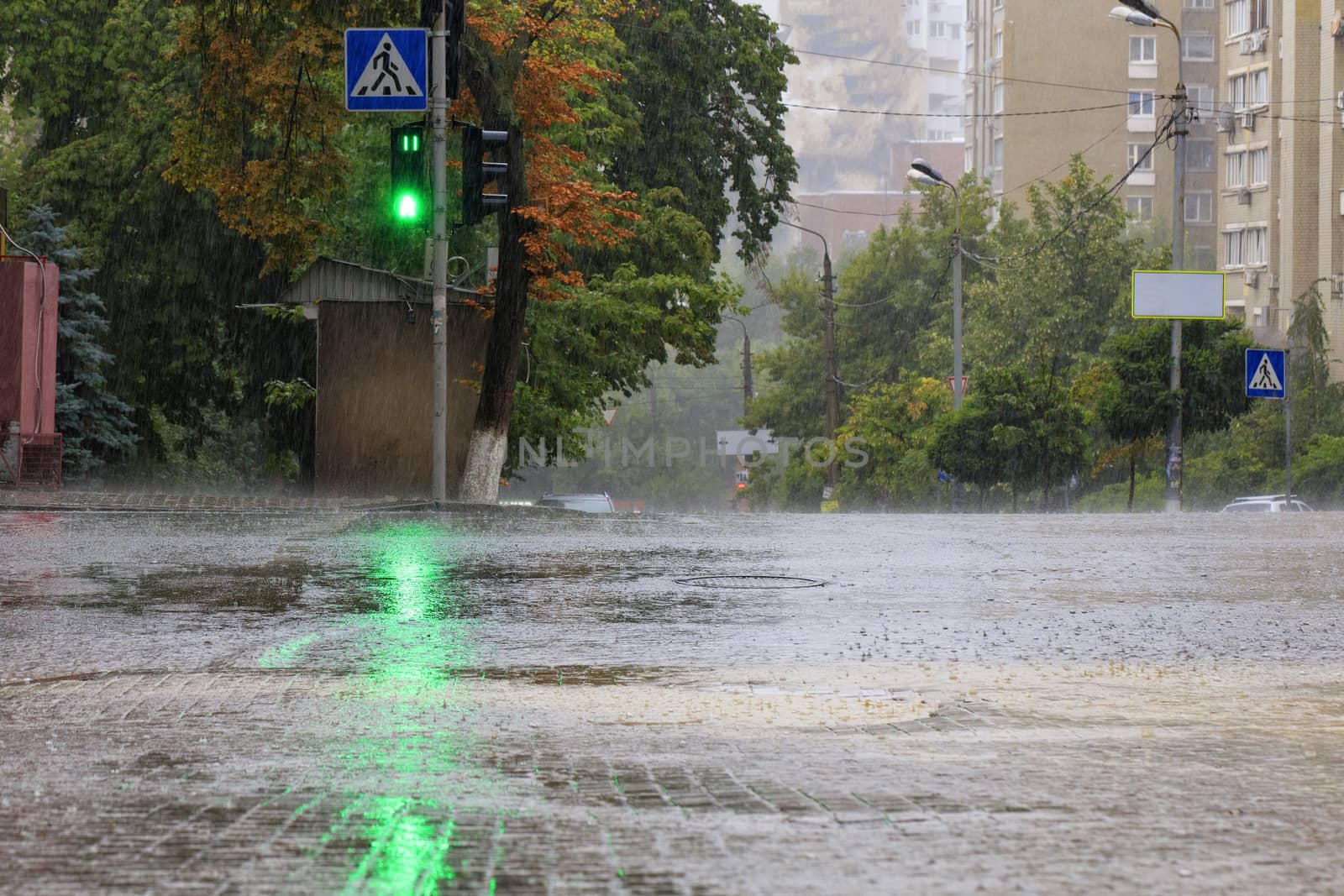 At the crossroads of the road, the green light of a traffic light is lit in the pouring rain on a city street.