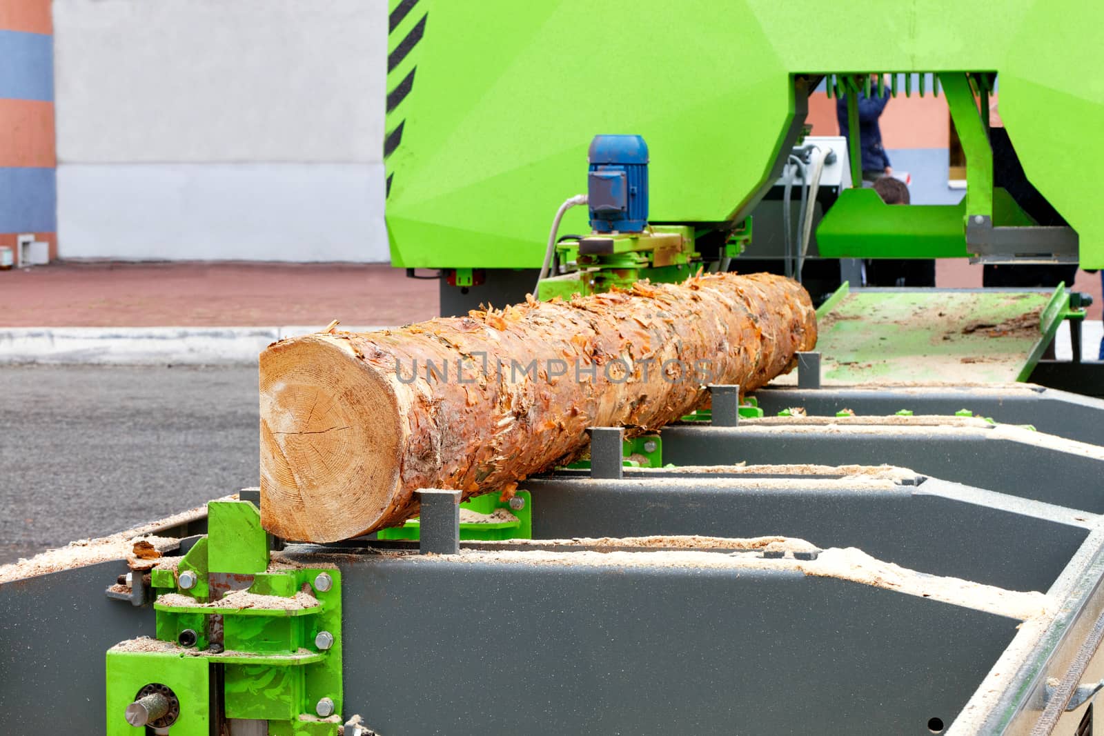 A large pine log is mounted on a modern woodworking machine. by Sergii