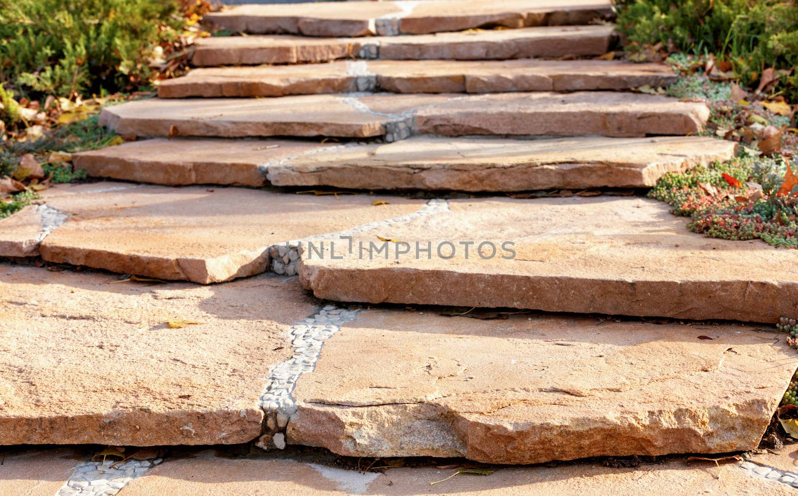 The paved stepped walkway made of coarse sandstone in the autumn park rises upward, framed on both sides by a low shrub under soft sunlight and long shadows.