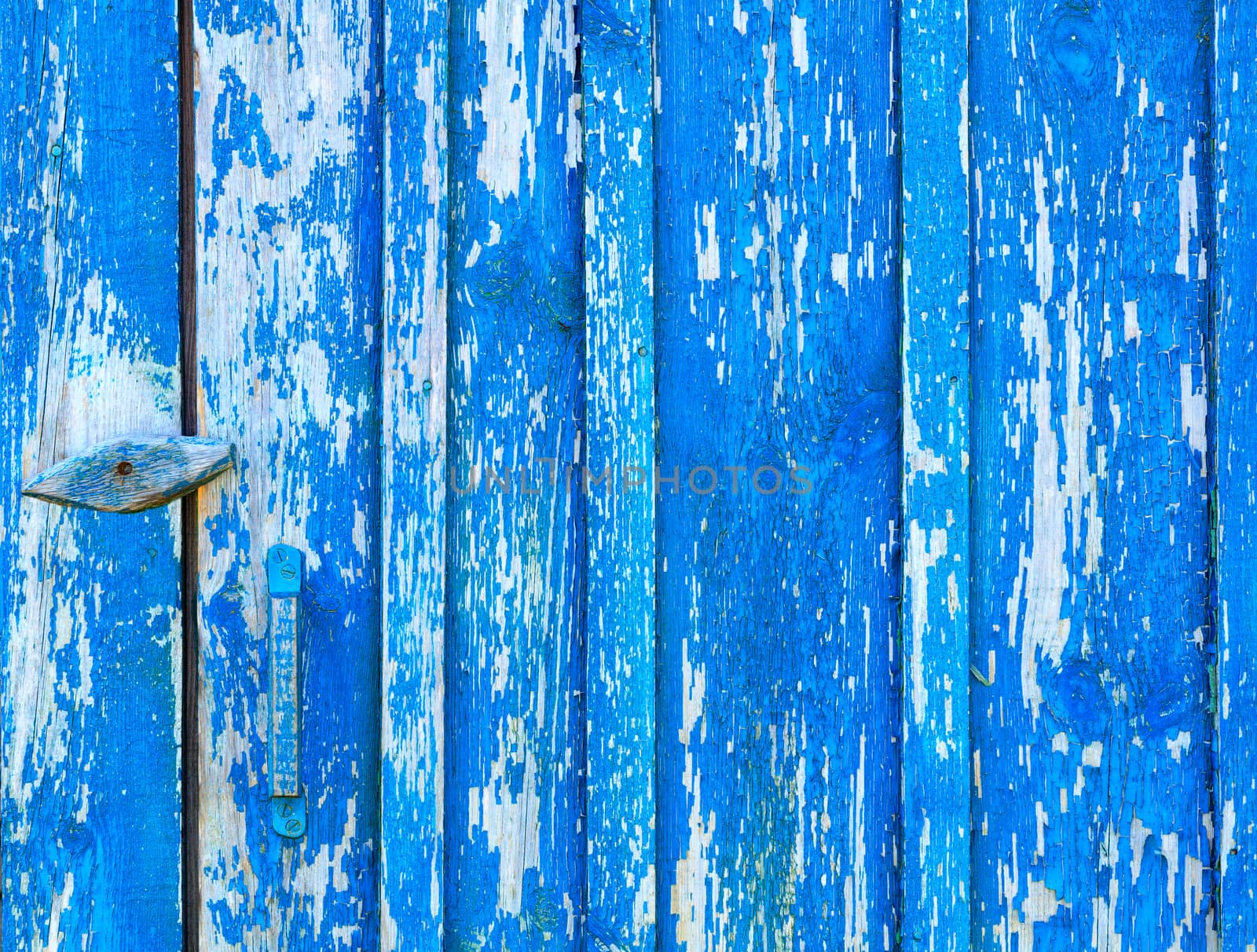 Blue old paint on an eroded shabby wooden door, texture of an old wood. by Sergii