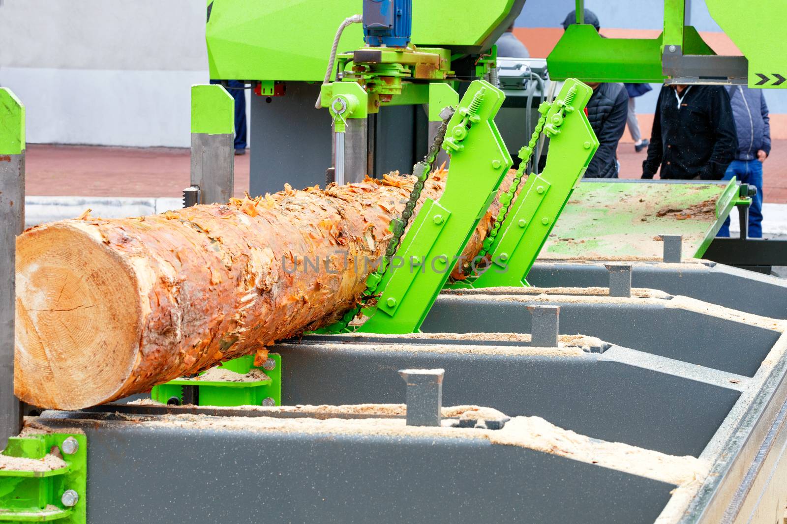 Large pine logs are automatically fed and processed in a modern automatic sawmill, receiving boards of a given size.