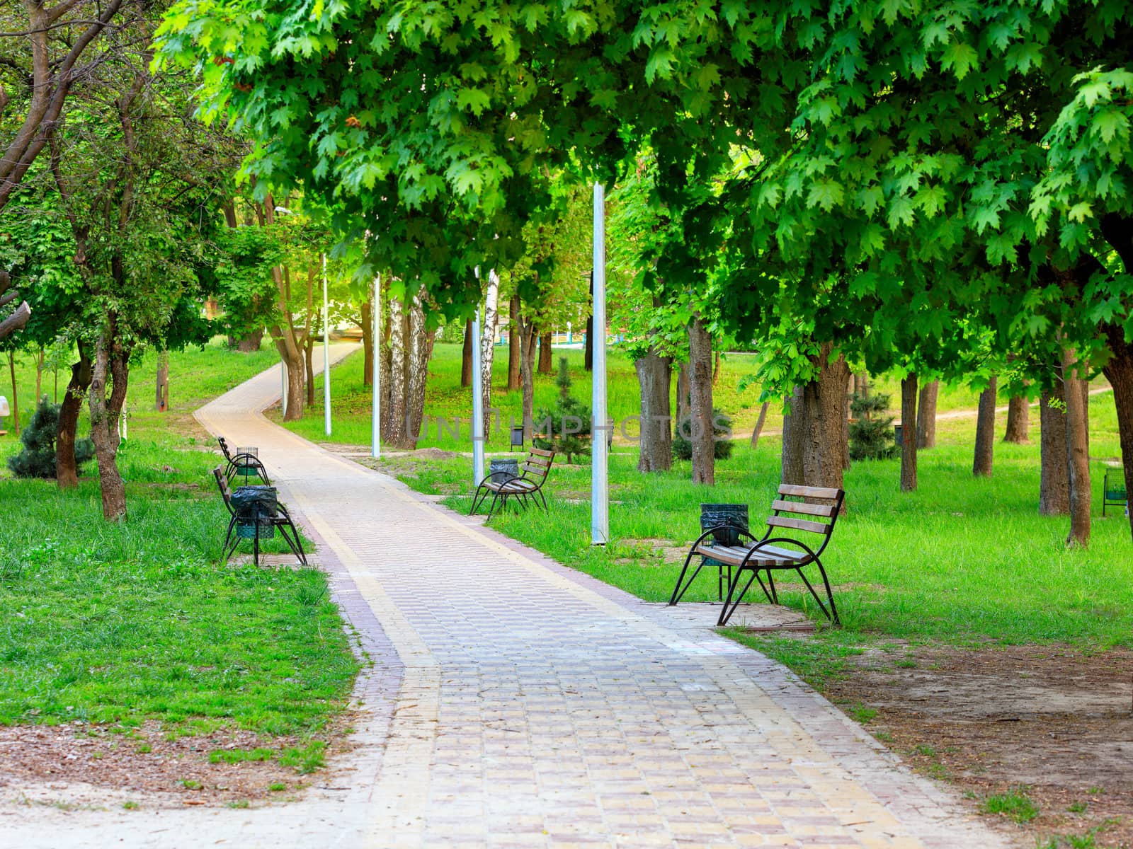 A path paved with multi-colored stone with wooden benches goes into the distance along a beautiful, green lawn and a fresh city summer park.