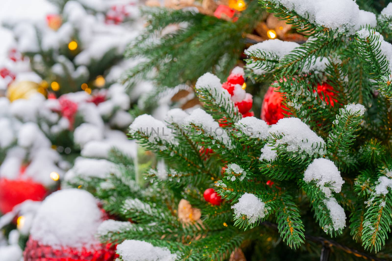 Snow on the branches of a Christmas tree. Winter background.