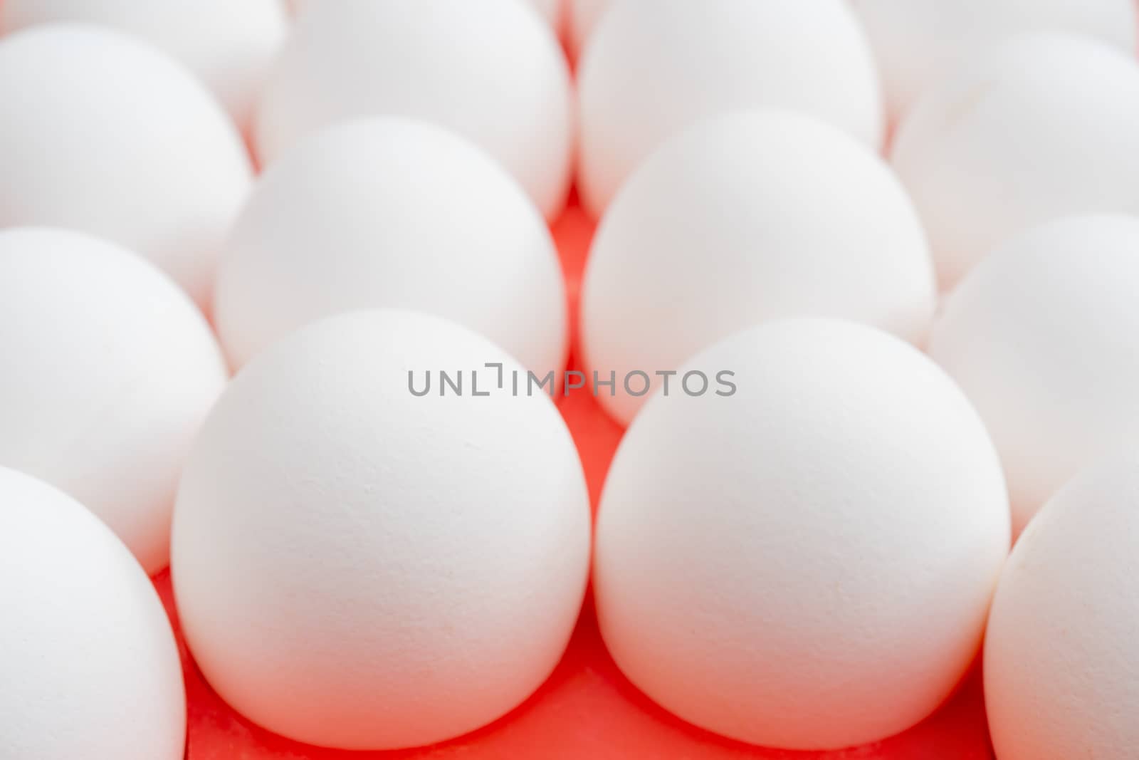 White chicken eggs. Useful food product. Straight rows of eggs.