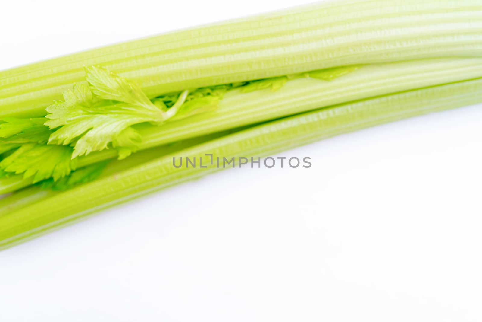 Fresh, green cerlery on white background. Healthy vegetable. Food for vegetarians.