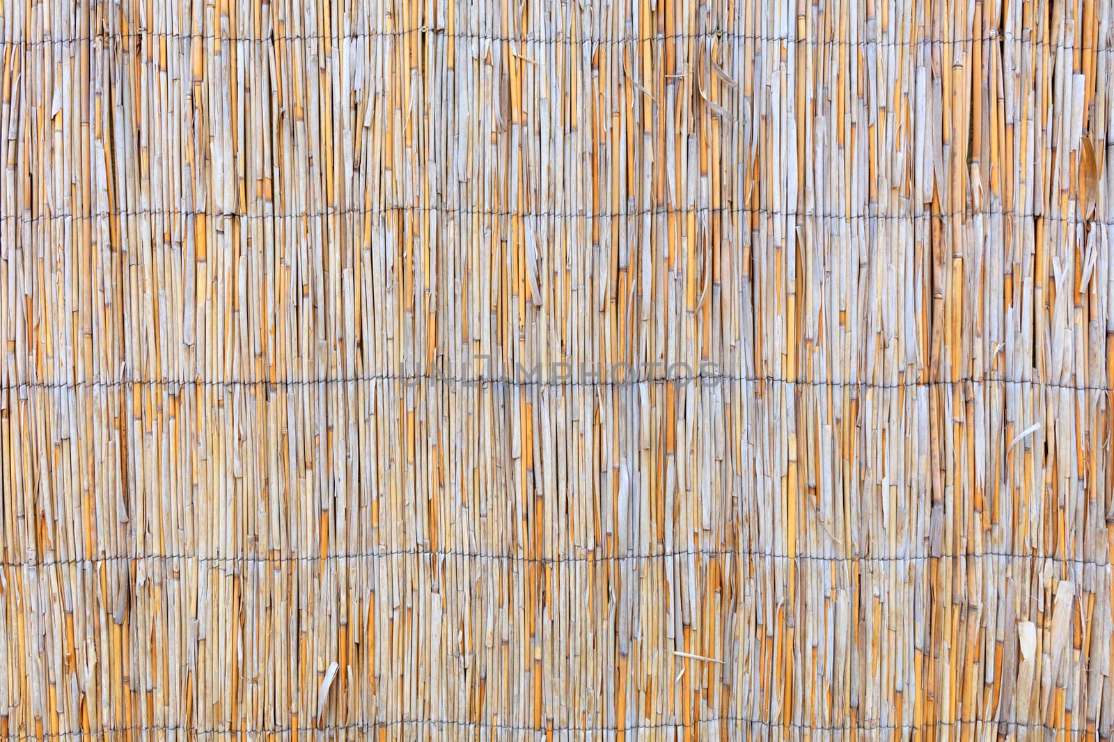 Texture and background of the fence of an old weathered reed.