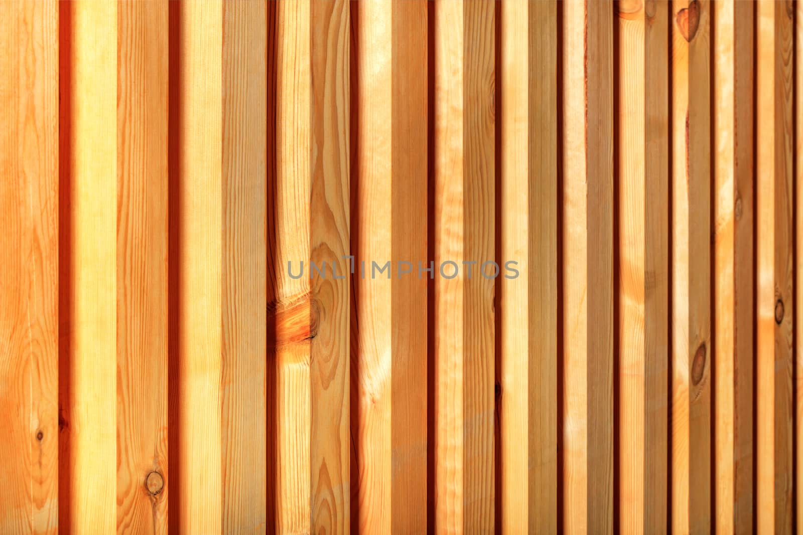 A wooden fence with a ribbed texture, a beautiful tree pattern in the form of smooth trunks with vertical guides.