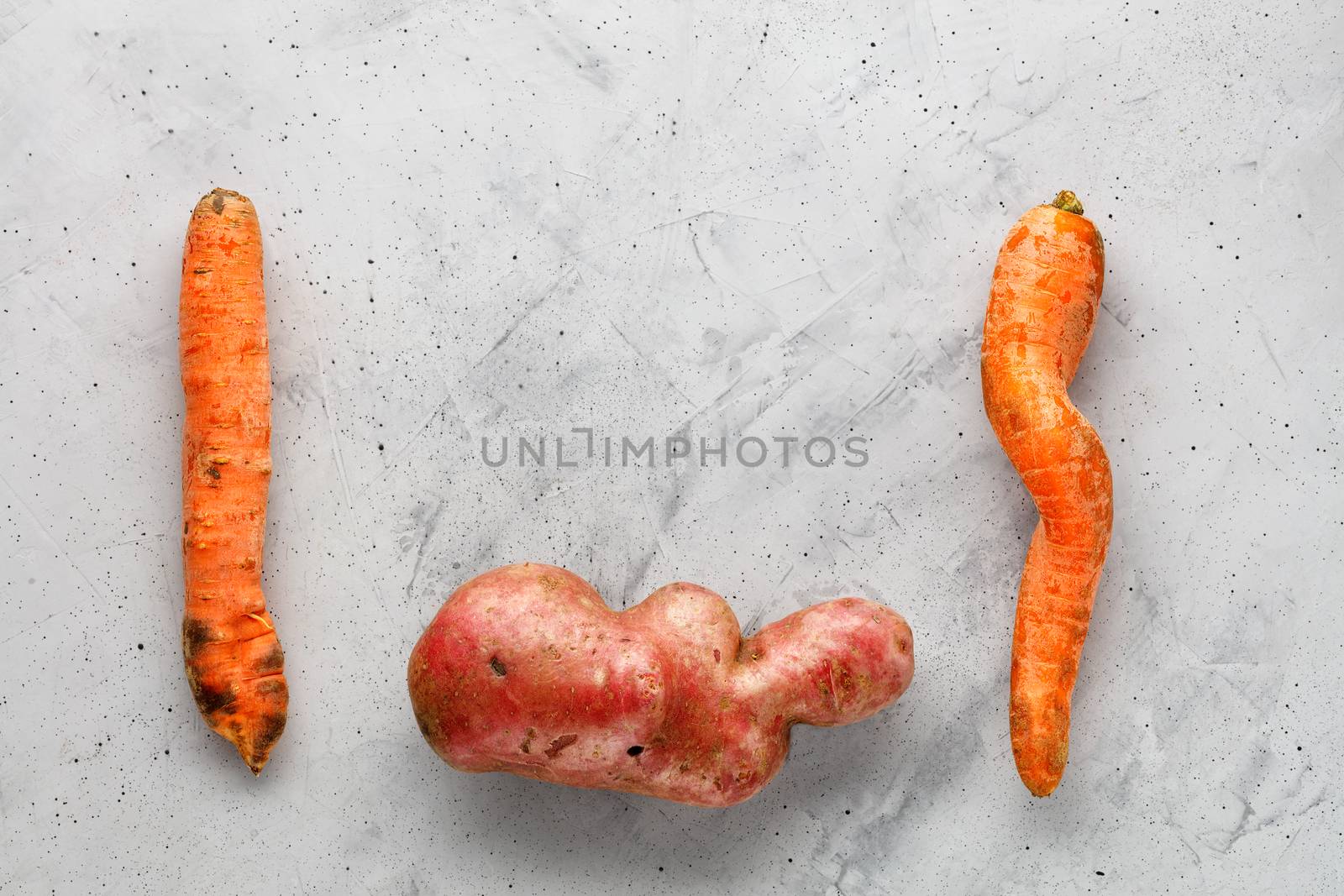 Ugly funny vegetables, letter shape potatoes and twisted carrot on gray concrete background. The concept of grungy vegetables or food waste. Top view, copy space.
