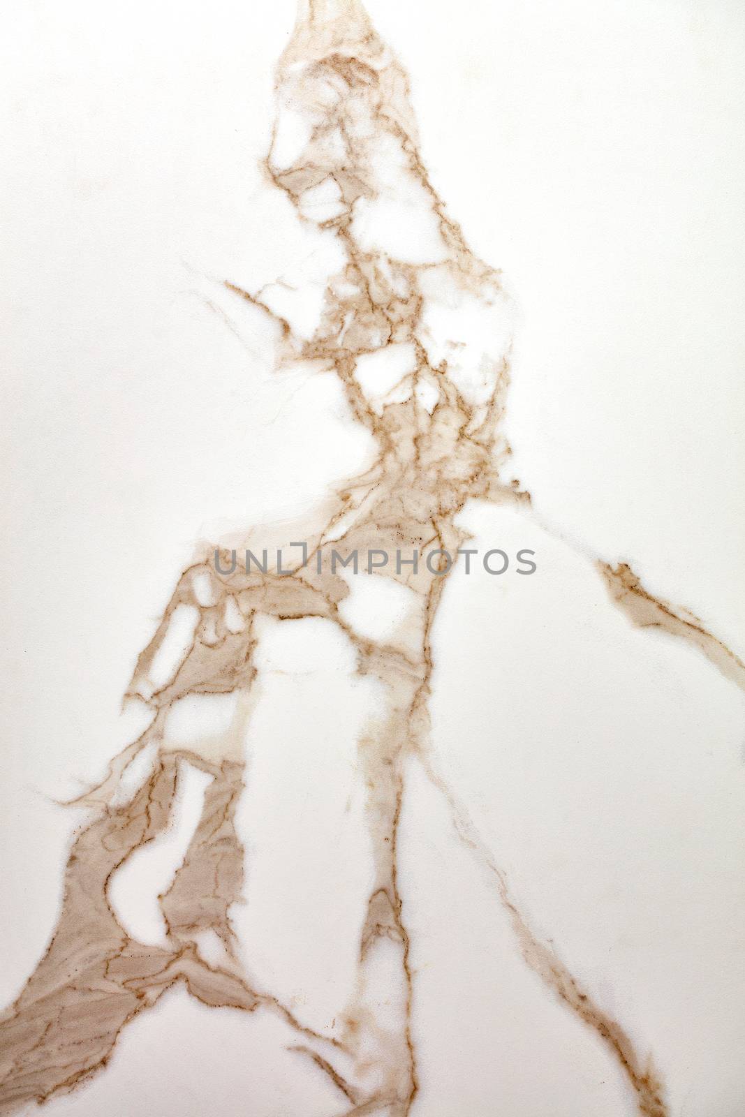 The surface, texture and background of white beige marble with brown veins. by Sergii