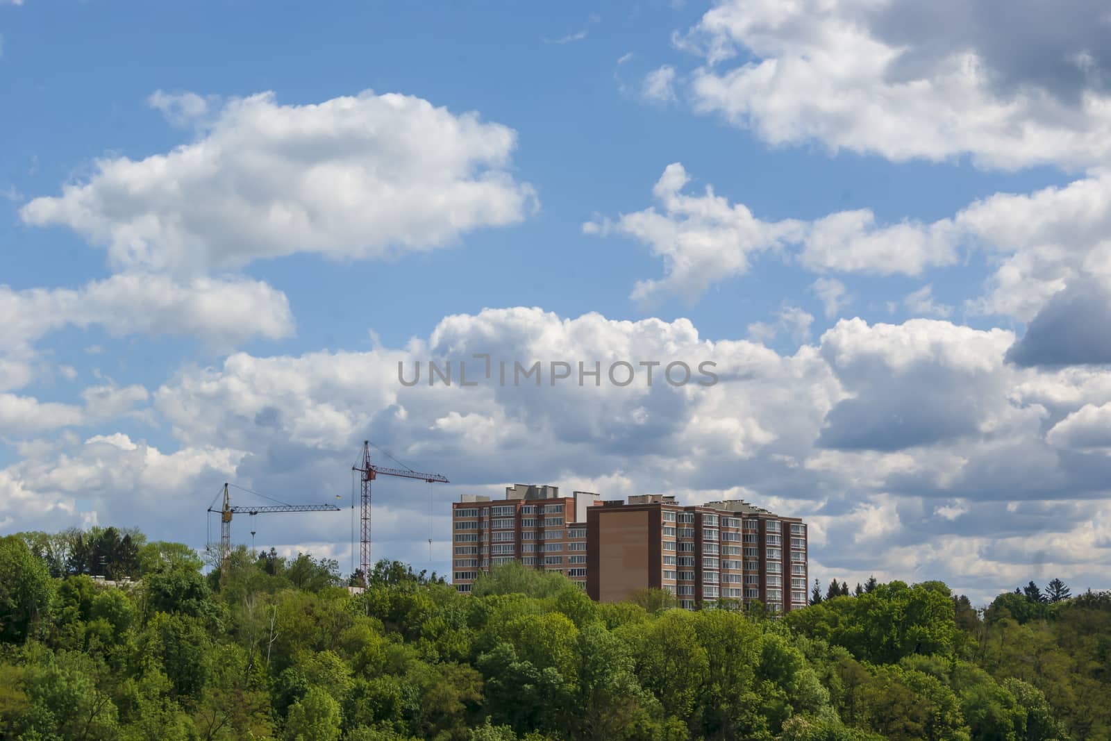 Cloudy sky over new buildings, tree crowns and tower cranes