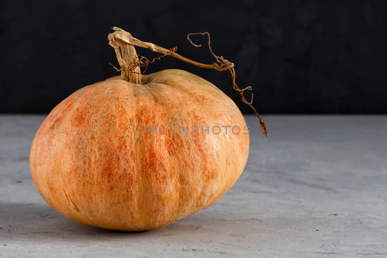 Large ripe orange pumpkin on a dark gray concrete surface, copy space. The concept of healthy and wholesome organic food.