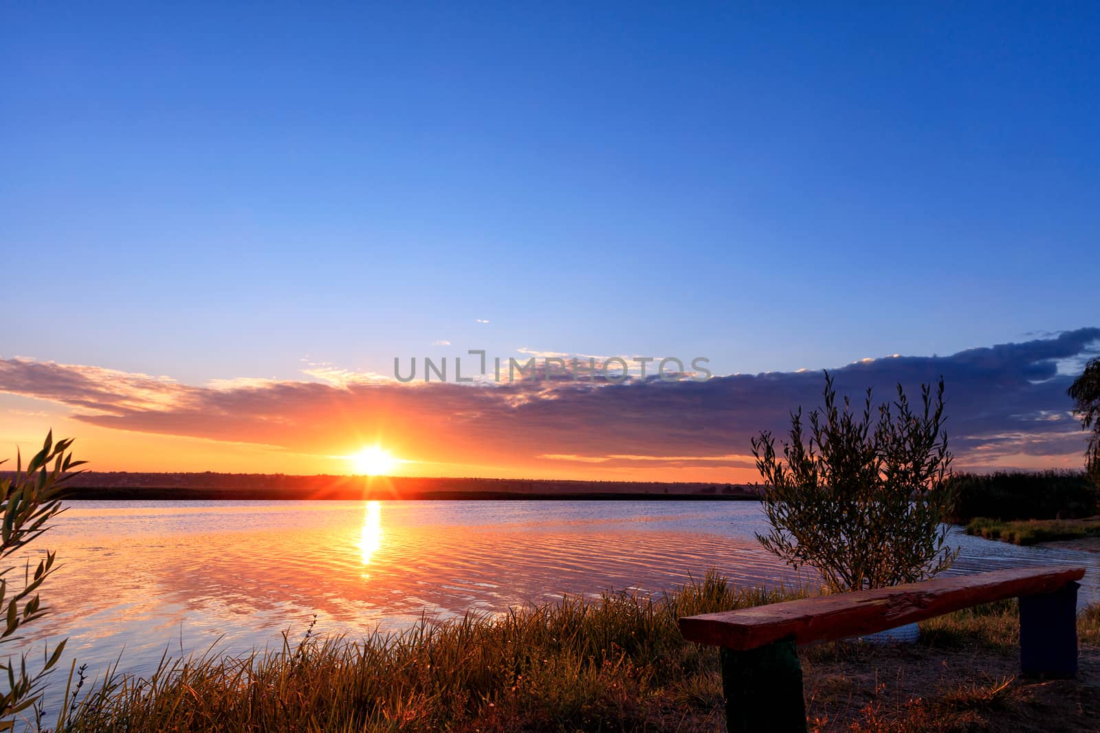 A majestic golden dawn above the horizon is reflected in a wavy river surface illuminating the contours of trees and an old wooden bench by the river, copy space.