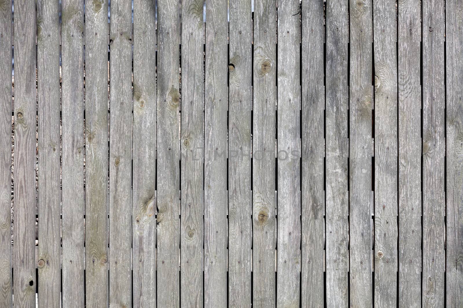 Weathered gray wooden fence with rusty nails and texture of an old tree in sunlight.