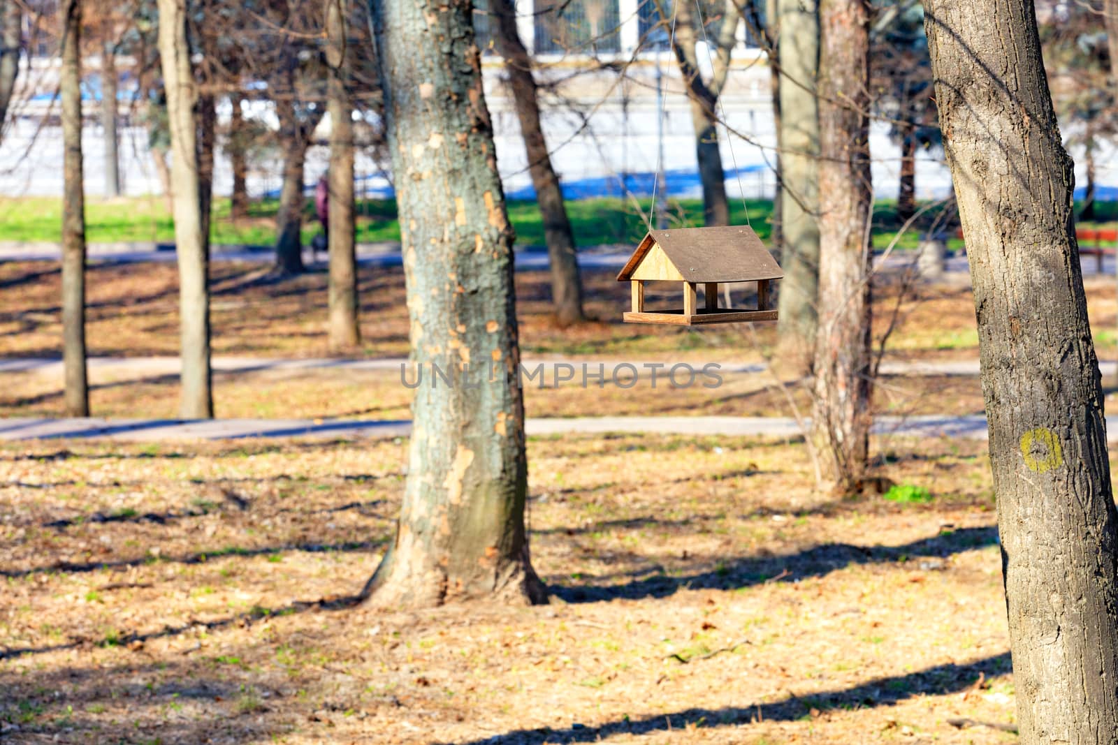A wooden old bird feeder is suspended on a tree in the background of a spring city park in blur and bright sunlight.