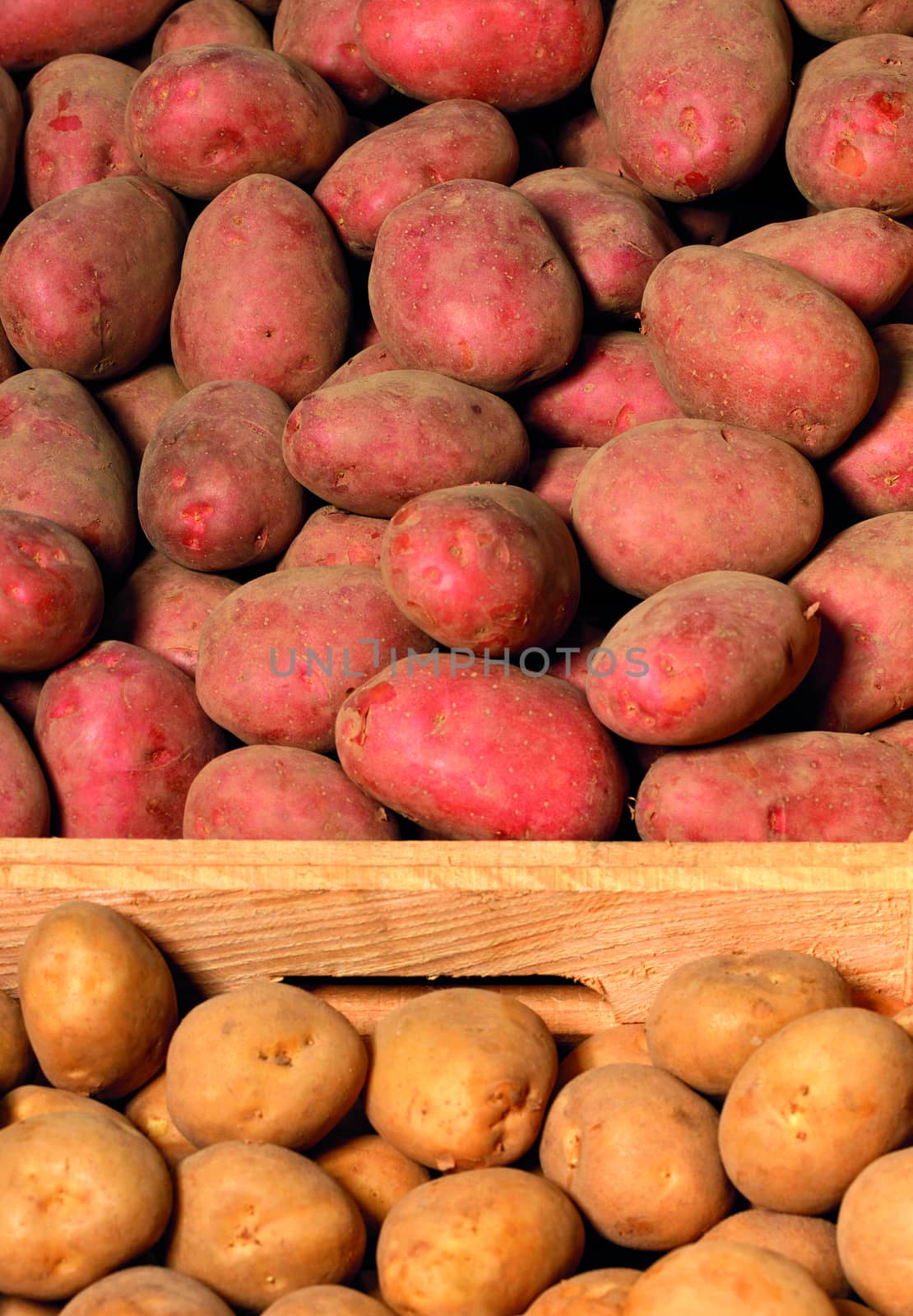 Red and white varieties of ripe beautiful potatoes in crates. by Sergii