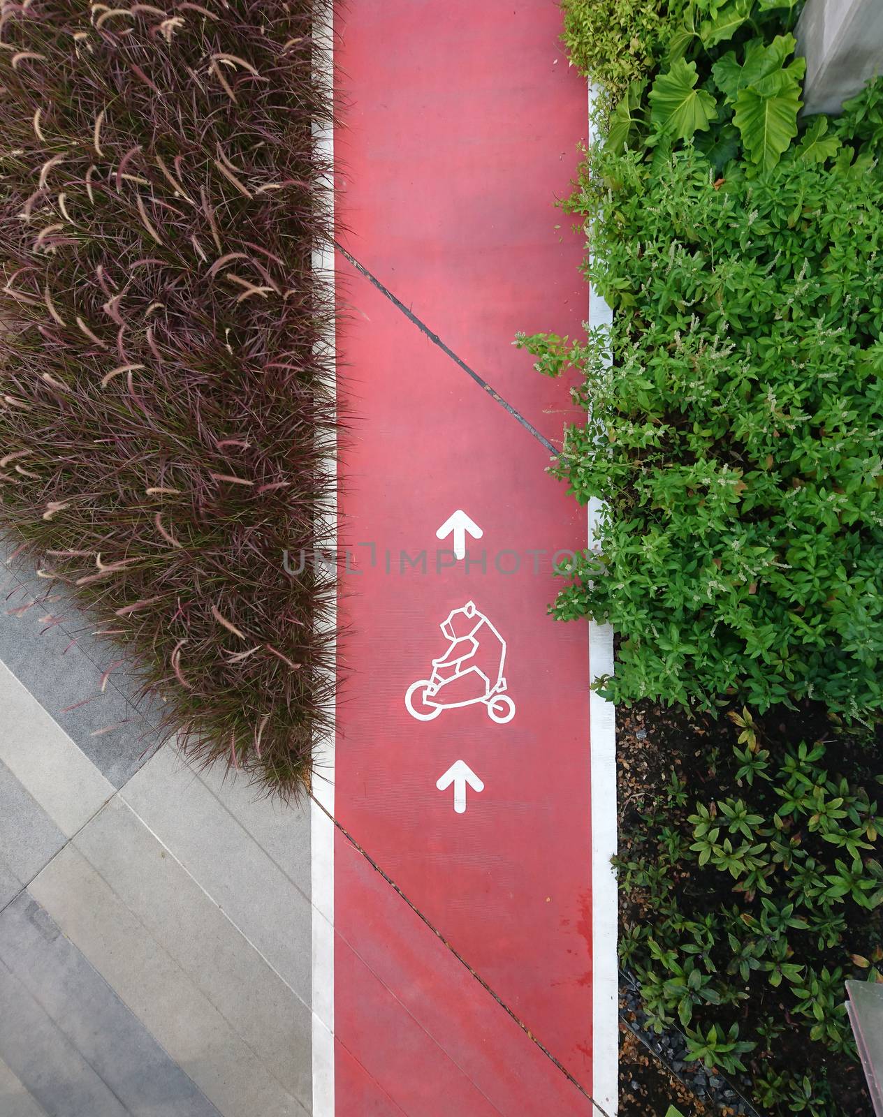 Bicycle lane with red color in the park