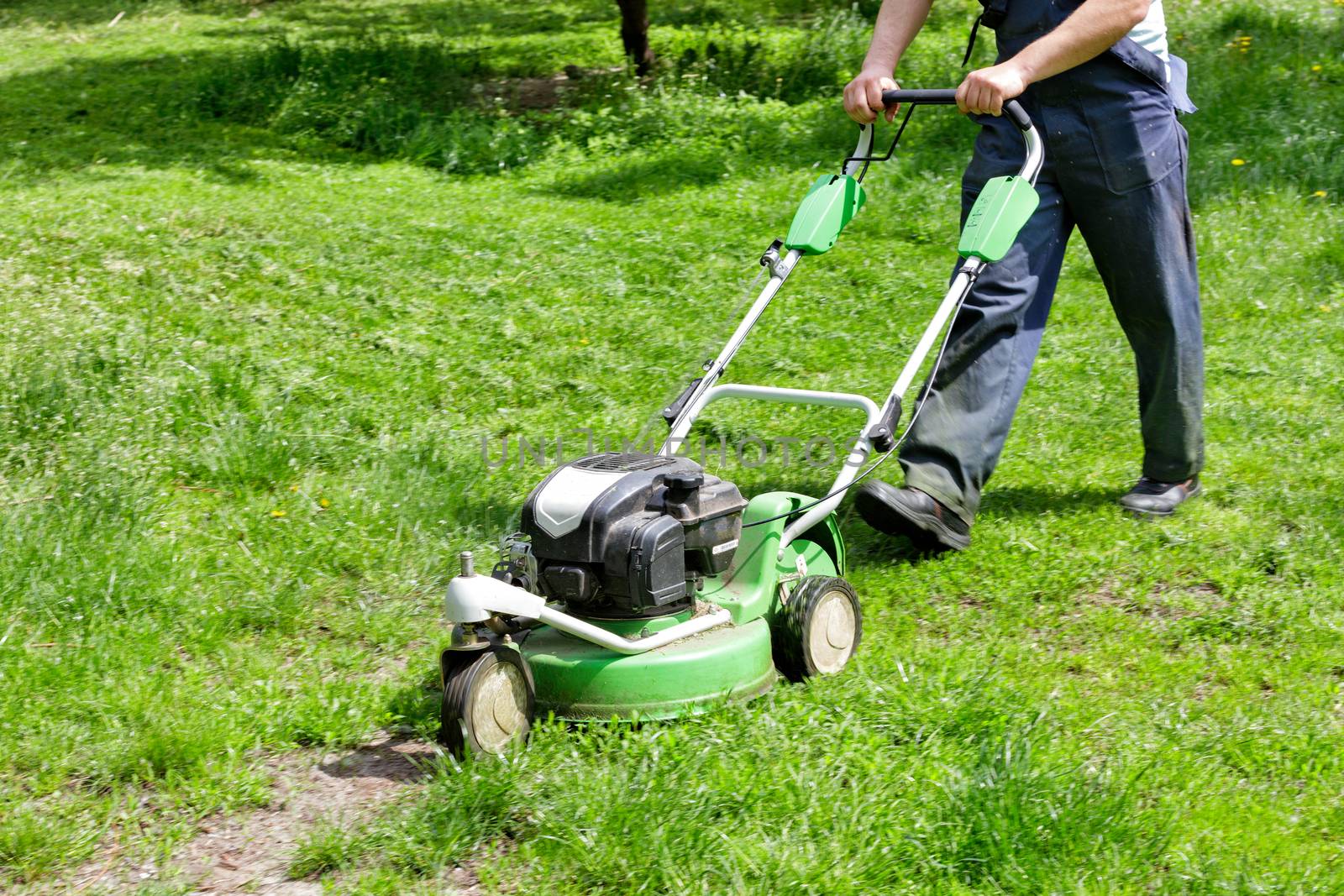 A worker mows tall grass with an industrial gas mower on a bright sunny day. by Sergii