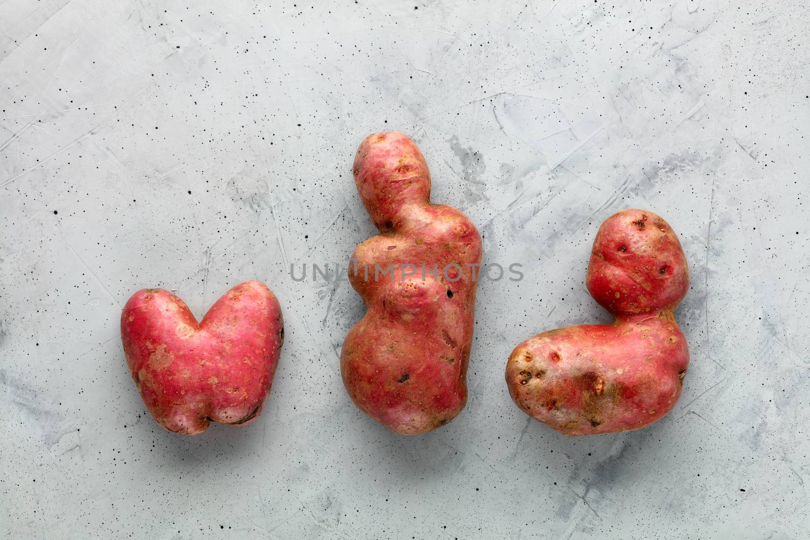 Ugly funny potato vegetables in the shape of a heart and other shapes on a gray concrete background. Vegetables or food waste concept. Top view, close-up, copy space.