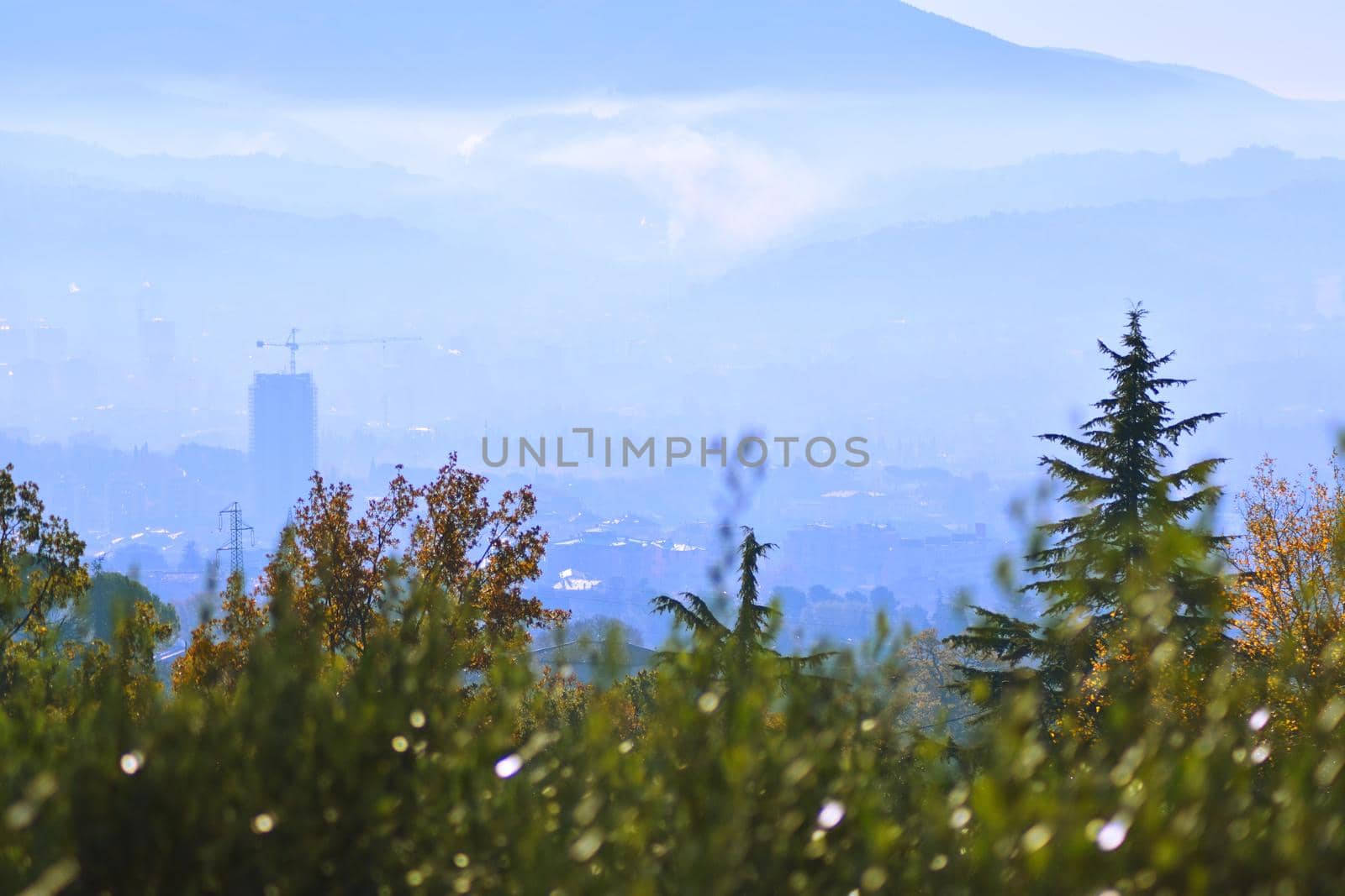 terni and the mist by carfedeph