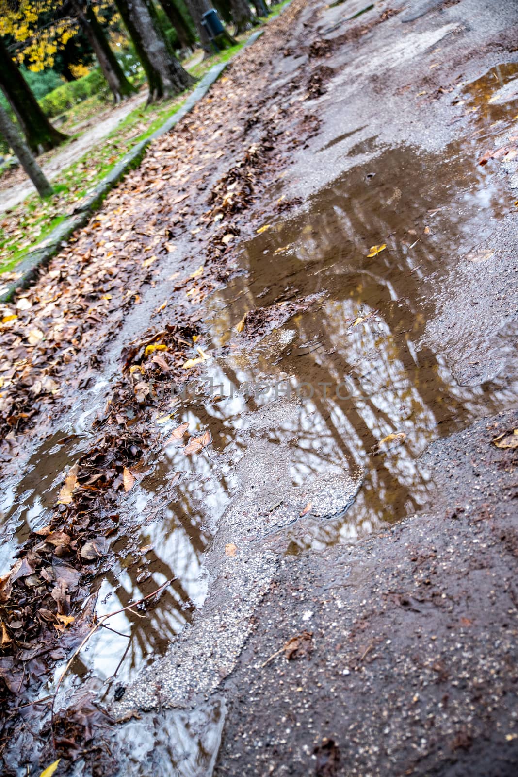 TERNI REFLECTED on the road after rain