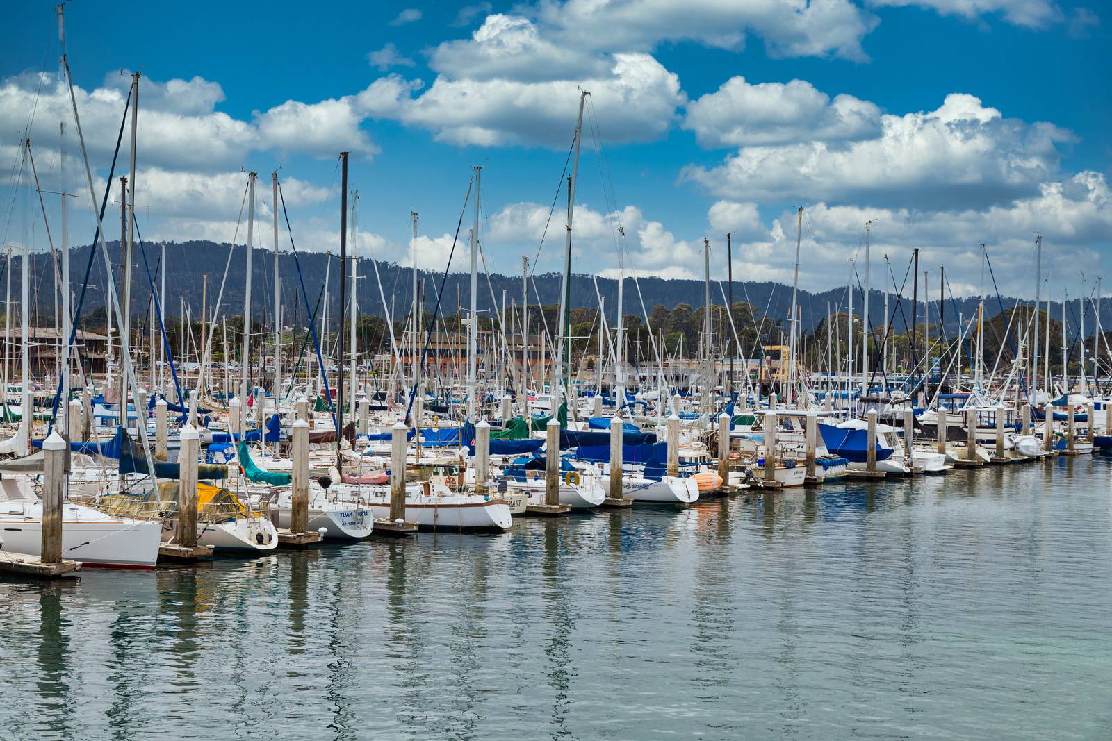 Rows of fishing boats and yachts in Monterey Harbor