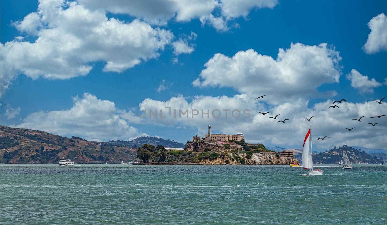 Sailboat Past Alcatraz by dbvirago