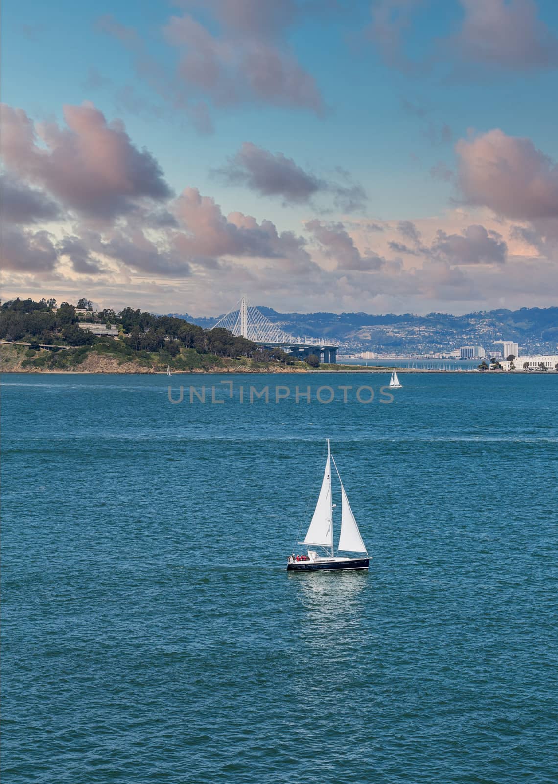 White Sailboat with Bay Bridge in Background