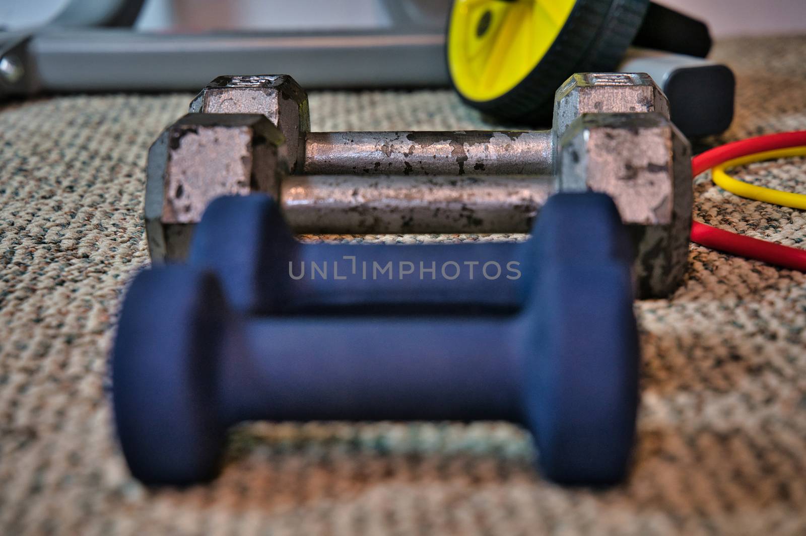 Row of dumbbells sitting on carpeted floor for use in home gym workout. Home exercise equipment for staying active while gyms are closed.