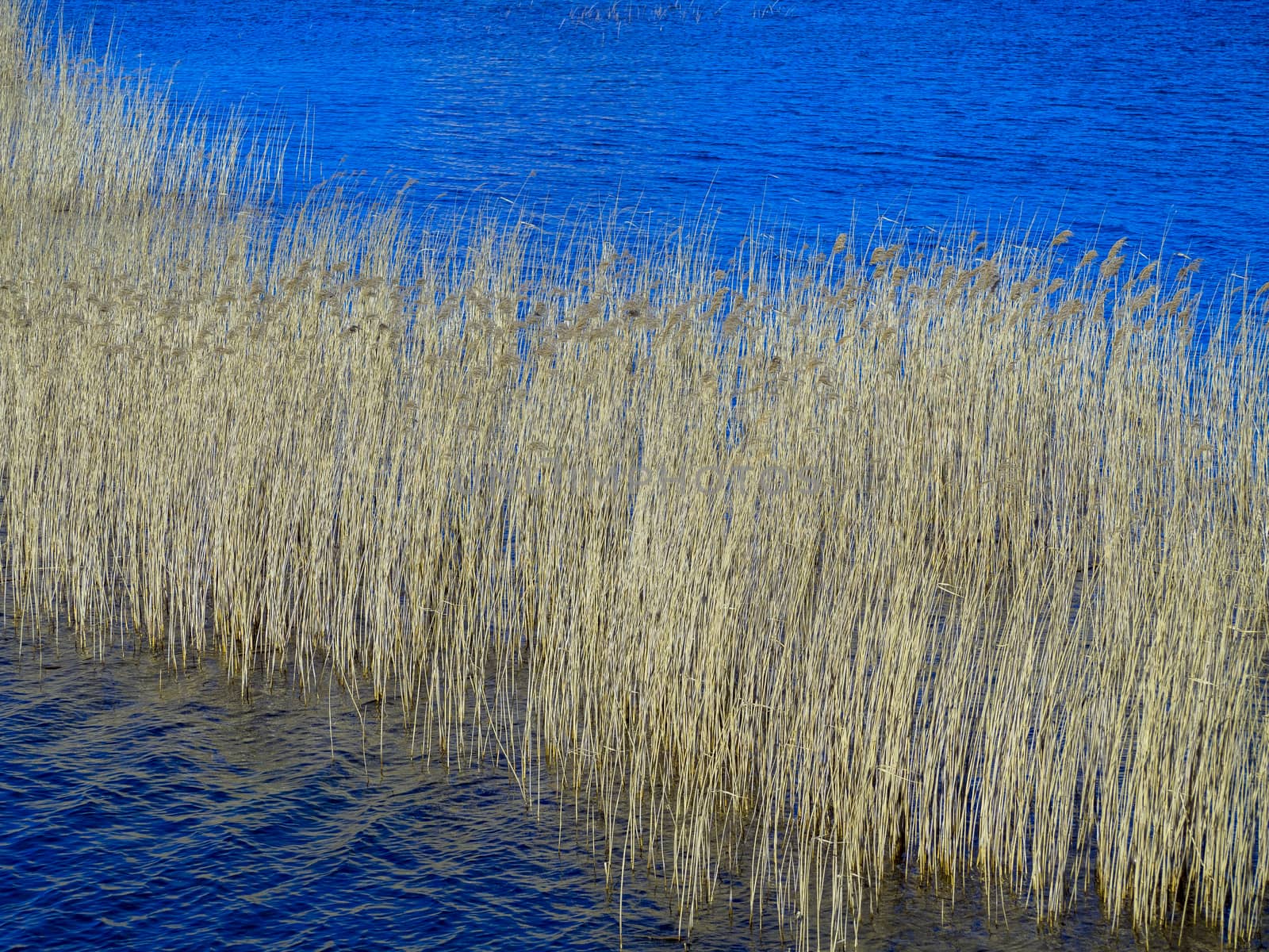 Abstract Water surface of a lake. Abandoned Quarry Of Rummu, Estonia. Panoramic View. Copy space. Quarry Of Rummu. Estonia