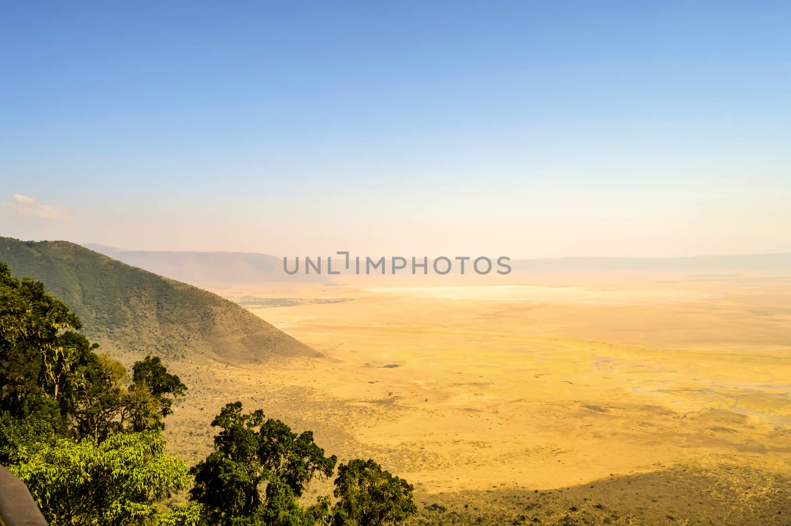 Elevated view of the ground of the Ngorongoro crater from the so by Philou1000