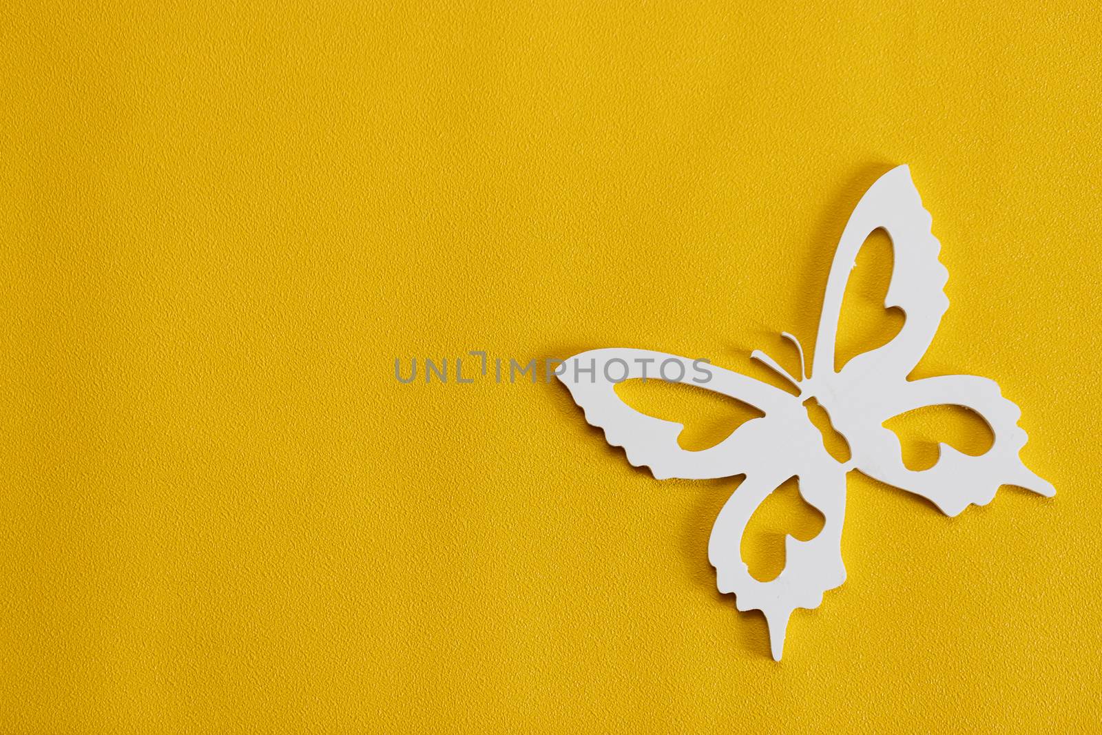 White butterflies on a yellow background, a creative minimal concept, copy space. by bonilook